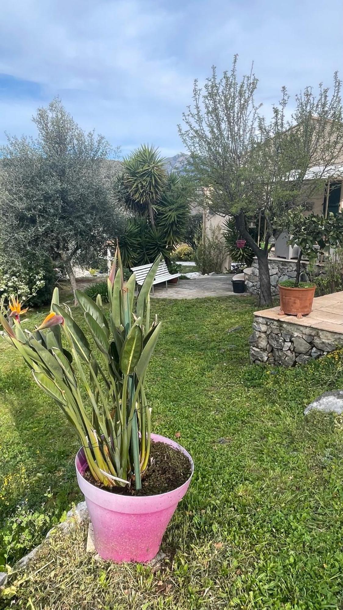 Rez De Jardin, Entre Mer Et Montagne Levens Exterior foto